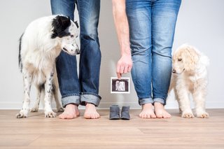 Babybauchfotos Schwangerschaftsfotos Dresden-4.jpg