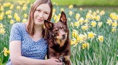 Hundefotografin Maria Junge Dresden