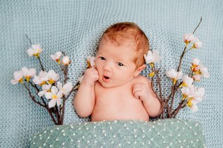Newbornfotos Homestory Babyfotos Dresden-1.jpg