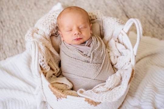 Newborn im Körbchen beim Fotoshooting
