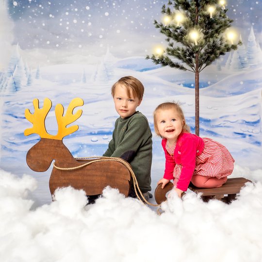 Weihnachtsfotos Dresden 2020-003.jpg